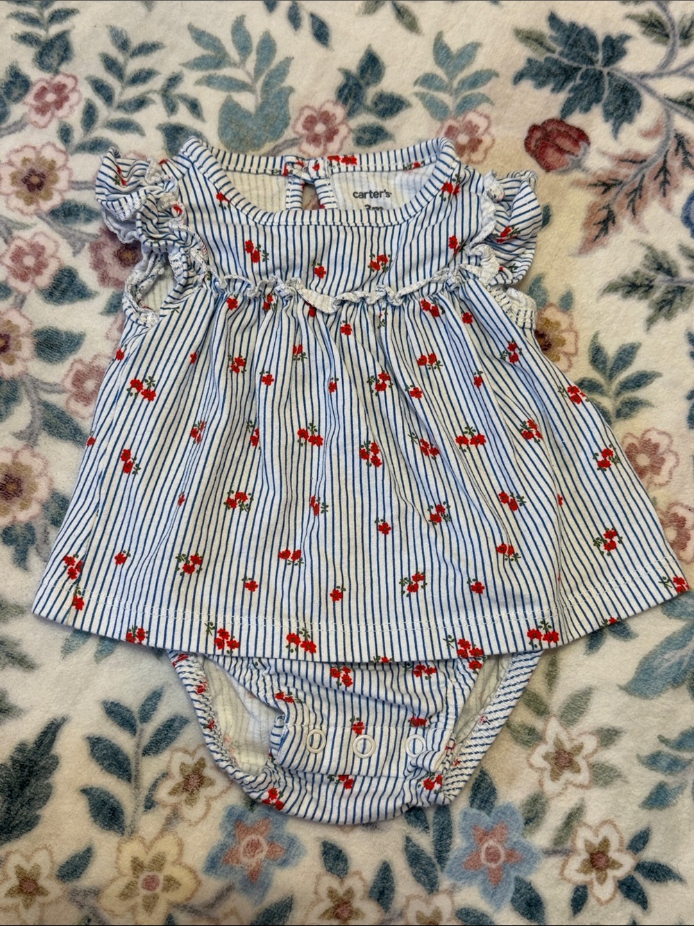 Carter's Blue & White Striped Baby Dress with Red Floral Print